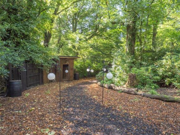 Woodland Walk