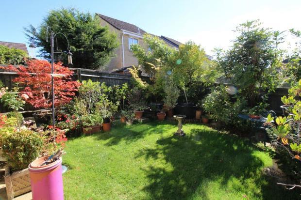 Garden 2