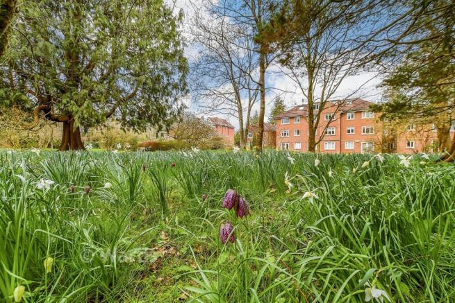 Communal Gardens