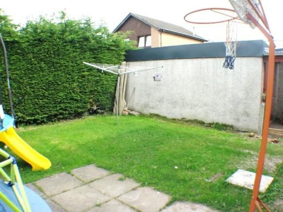 Back garden