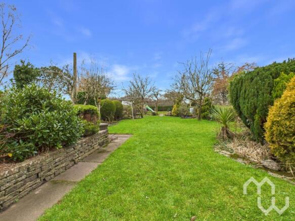 Back Garden