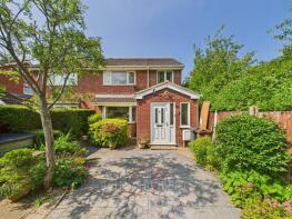 47, Mountain View, Hope LL12 9NE