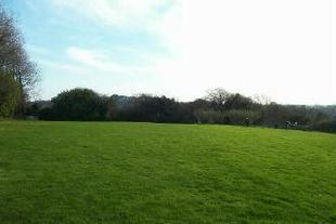 The Land