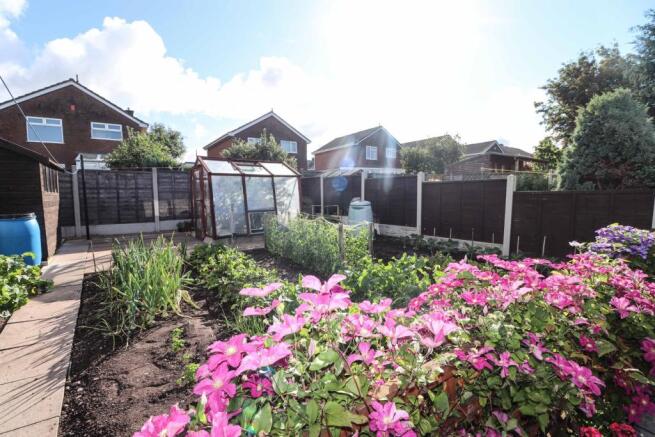 Vegetable Plot