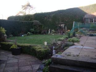 Garden 2