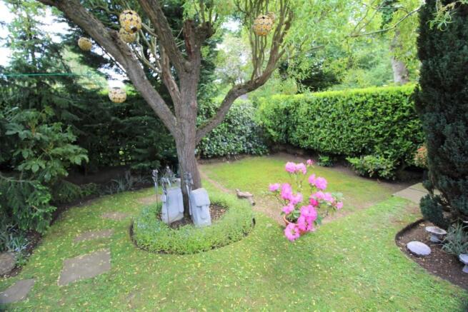 Photo 26