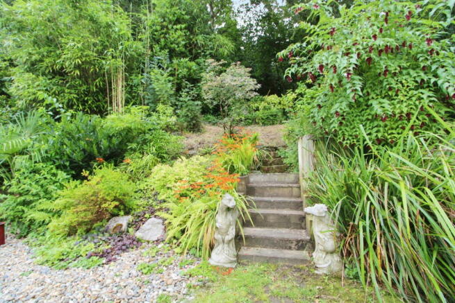 Photo 29