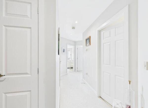 cam03830g0pr0249still001001