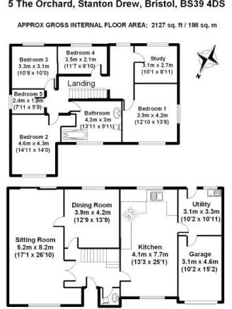 Picture 10