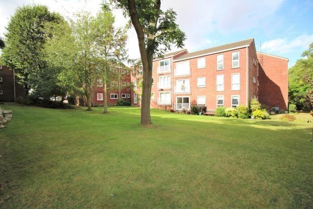 Communal Gardens