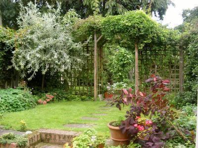 Established garden to rear