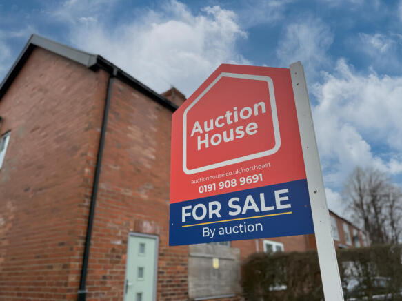 IMG 4657 T202603251715.jpg