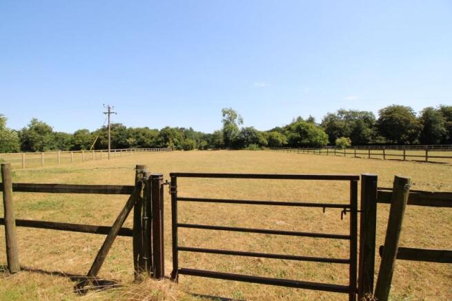 field