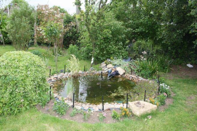 Pond
