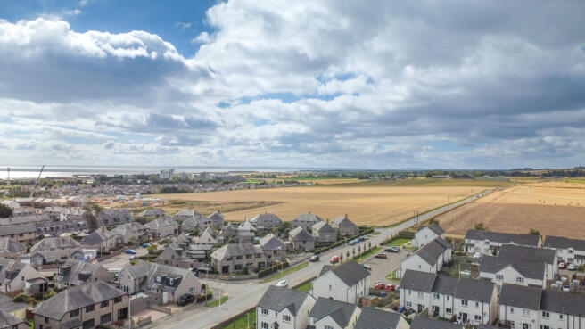 Aerial Shot