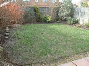 Garden Shot 2