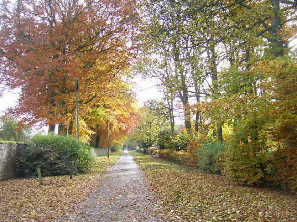 Autumn in Wydale