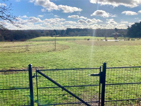 Field