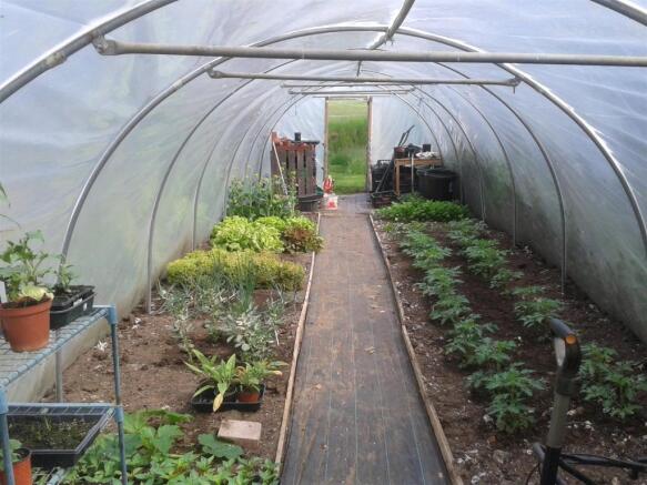 POLY TUNNEL