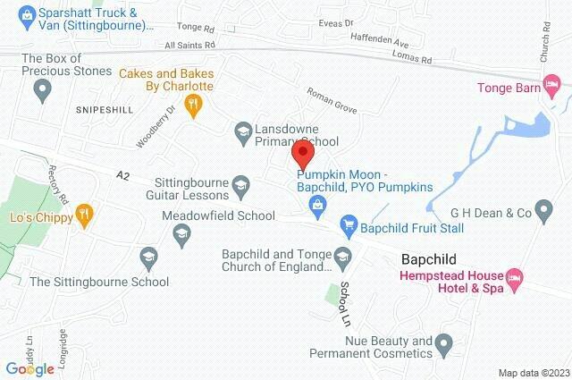 Google Maps Image