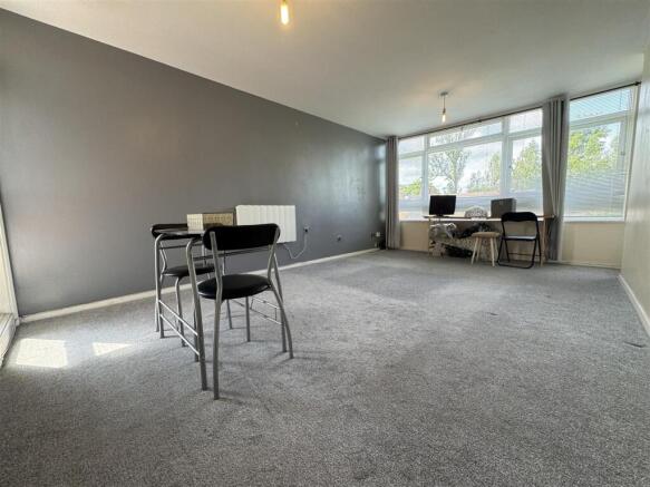 IMG_3562 (Large).JPG