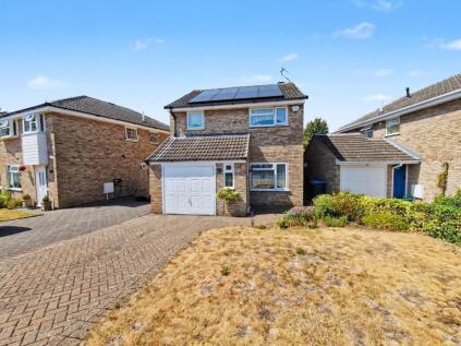 Norton Leys, Rugby