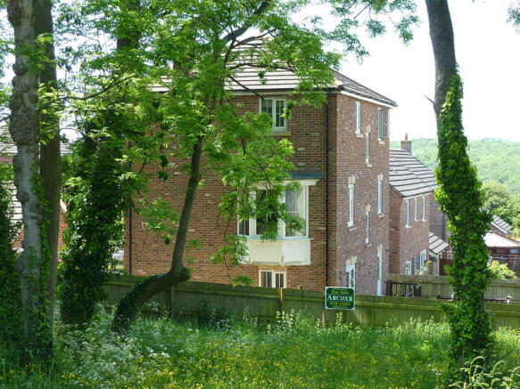 Picture 12