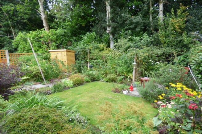 Garden b