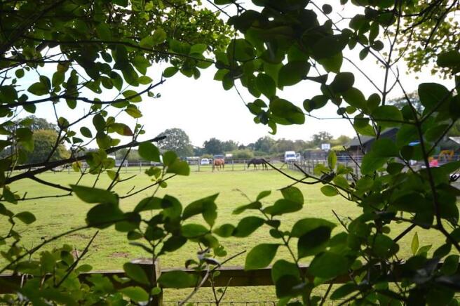 Views of Paddocks