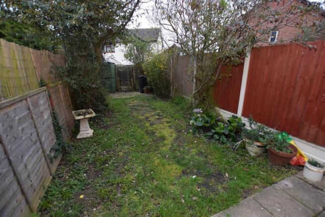 garden.JPG