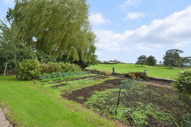 Garden & View...