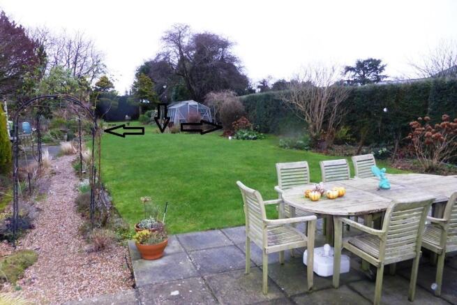 garden5.JPG