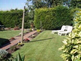 GARDEN VIEW 2