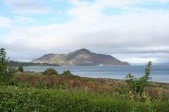 View from garden