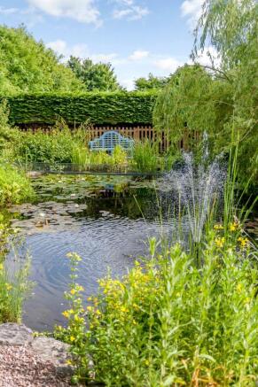 Pond & Fountain