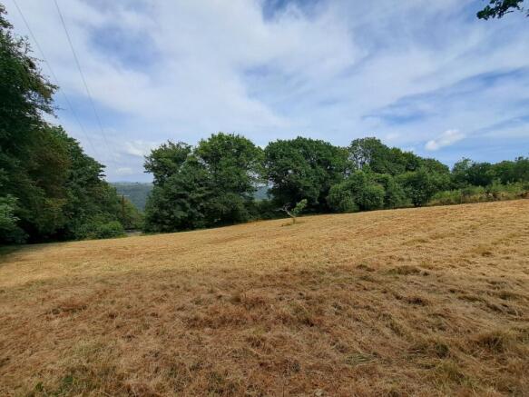 Picture No. 02