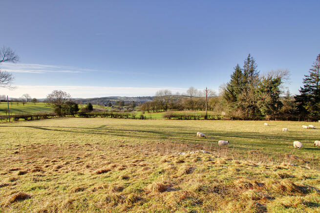 View from the garden