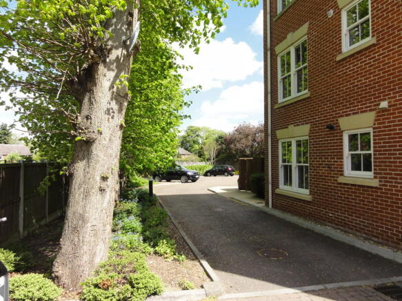 Photo 10