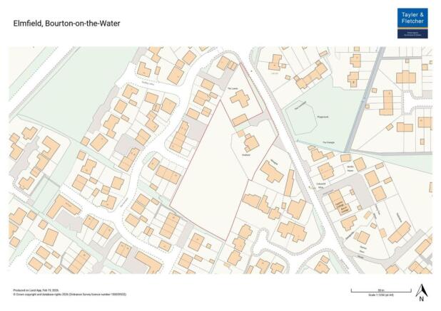 Elmfield - 19.02.2026.jpeg
