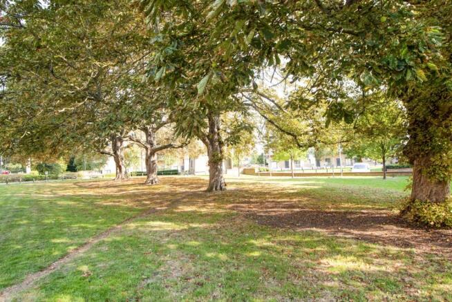 Grounds