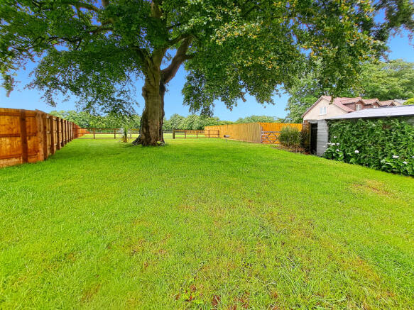 the-barn_00042
