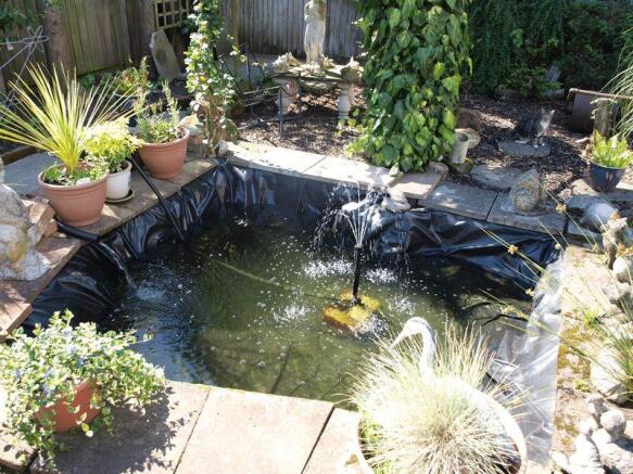 Pond