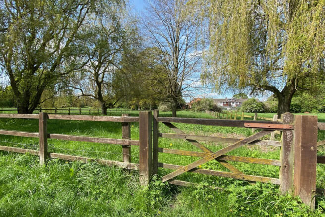 River Meadow