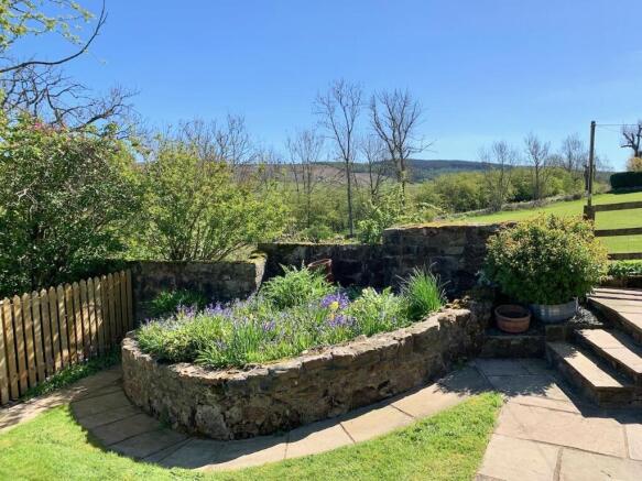 Garden - b