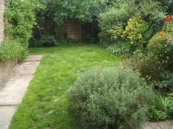 Back Garden