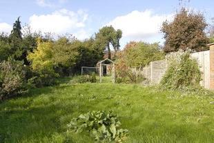 Garden Photo 1