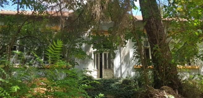 Entrance of the old school building partially hidden by trees and bushes