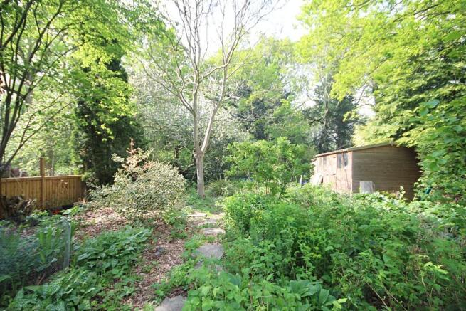 rear of garden