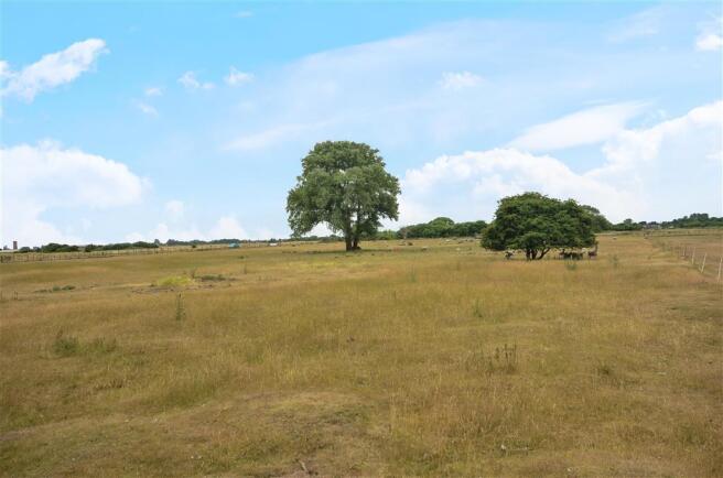 Surrounding Area