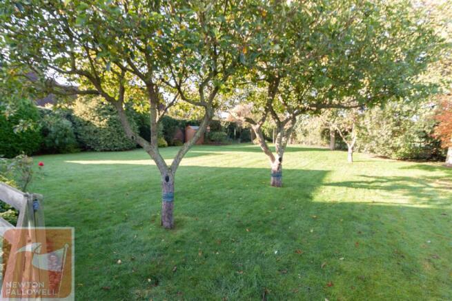 SIDE GARDEN